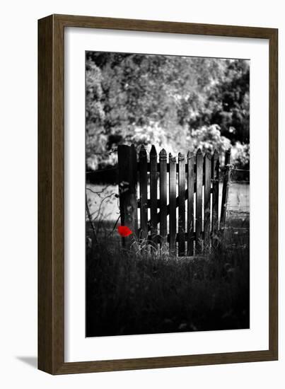 Red Detail-Philippe Sainte-Laudy-Framed Photographic Print