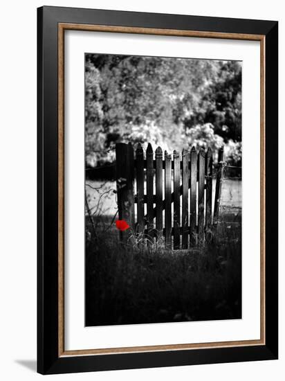 Red Detail-Philippe Sainte-Laudy-Framed Photographic Print