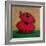 Red Dog-Kourosh-Framed Photographic Print