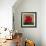 Red Dog-Kourosh-Framed Photographic Print displayed on a wall