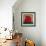 Red Dog-Kourosh-Framed Photographic Print displayed on a wall