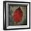 Red Dogwood-John Golden-Framed Art Print
