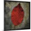 Red Dogwood-John W^ Golden-Mounted Art Print