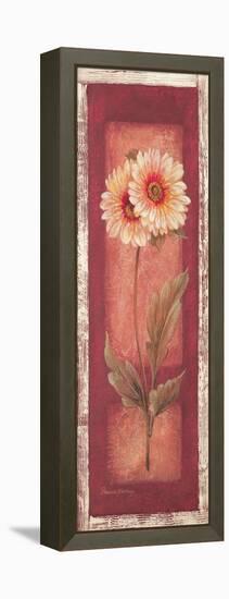 Red Door Gaillardia-Pamela Gladding-Framed Stretched Canvas