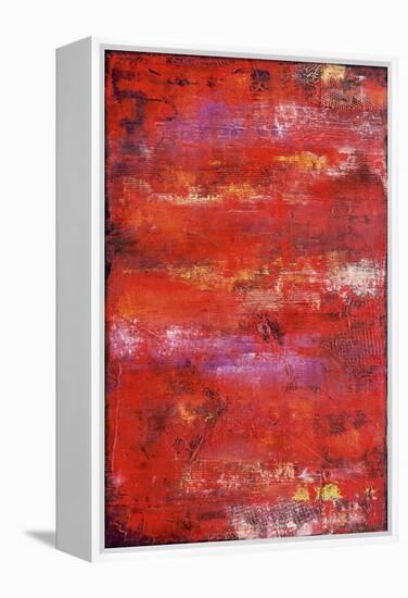 Red Door II-Erin Ashley-Framed Stretched Canvas