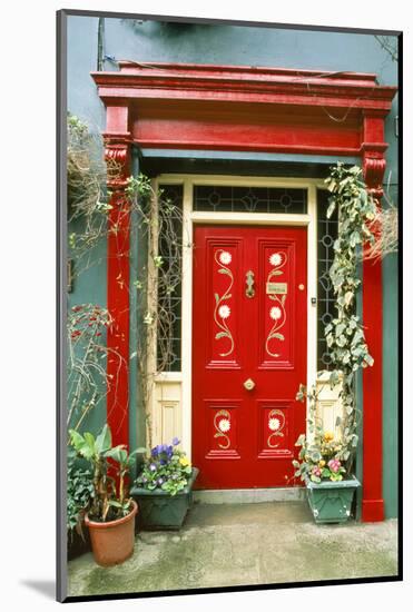 Red door with painted daisies, surrounded by flowers and vines.-Tom Haseltine-Mounted Photographic Print