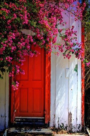 'Red Door' Photographic Print - Dean Mayo | Art.com