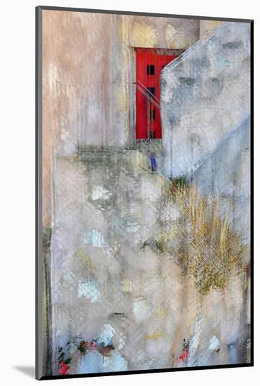 Red Door-Ursula Abresch-Mounted Photographic Print