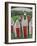 Red Doors-Tim Nyberg-Framed Premium Giclee Print