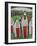 Red Doors-Tim Nyberg-Framed Premium Giclee Print
