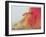 Red Dragon with St. George and Virgin on Horse-Wayne Anderson-Framed Giclee Print