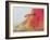 Red Dragon with St. George and Virgin on Horse-Wayne Anderson-Framed Giclee Print