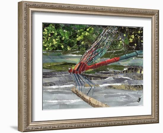 Red Dragonfly-Kirstie Adamson-Framed Giclee Print