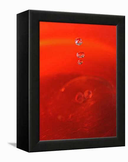 Red Drink Drop II-Tammy Putman-Framed Premier Image Canvas