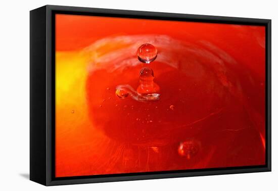 Red Drink Drop III-Tammy Putman-Framed Premier Image Canvas