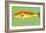 Red Drum-John Golden-Framed Art Print