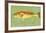 Red Drum-John W^ Golden-Framed Art Print