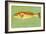 Red Drum-John W Golden-Framed Giclee Print