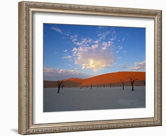 Red dunes and dead acacia tree, Dead Vlei, Namib-Naukluft-Sossusvlei, Namibia-Gavin Hellier-Framed Photographic Print