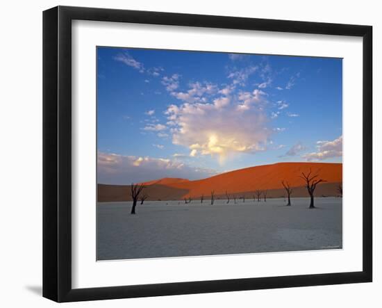 Red dunes and dead acacia tree, Dead Vlei, Namib-Naukluft-Sossusvlei, Namibia-Gavin Hellier-Framed Photographic Print