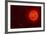 Red Dwarf Sun Floating Through Space-Stocktrek Images-Framed Art Print