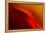 Red Edge-Ursula Abresch-Framed Premier Image Canvas