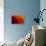 Red Edge-Ursula Abresch-Framed Premier Image Canvas displayed on a wall