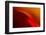 Red Edge-Ursula Abresch-Framed Photographic Print