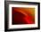 Red Edge-Ursula Abresch-Framed Photographic Print