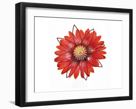 RED Element-Irena Orlov-Framed Art Print