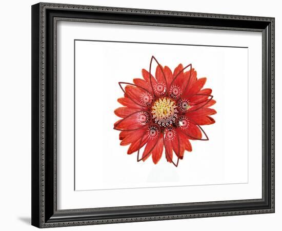 RED Element-Irena Orlov-Framed Art Print