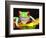 Red Eye Tree Frog on a Calla Lily, Native to Central America-David Northcott-Framed Photographic Print