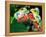 Red Eye Tree Frog Pair, Native to Central America-David Northcott-Framed Premier Image Canvas