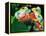 Red Eye Tree Frog Pair, Native to Central America-David Northcott-Framed Premier Image Canvas