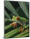 Premium Photographic Print