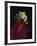 Red-Eyed Tree Frog Perched on Plant-David Northcott-Framed Photographic Print