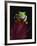 Red-Eyed Tree Frog Perched on Plant-David Northcott-Framed Photographic Print