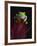 Red-Eyed Tree Frog Perched on Plant-David Northcott-Framed Photographic Print