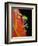 Red-eyed Tree Frog-Kevin Schafer-Framed Premium Photographic Print