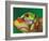 Red-Eyed Tree Frog-Adam Jones-Framed Photographic Print