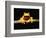 Red-eyed tree frog-Gary Bell-Framed Photographic Print