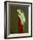 Red-eyed tree frog-Maresa Pryor-Framed Photographic Print