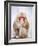 Red-faced makak-Herbert Kehrer-Framed Photographic Print