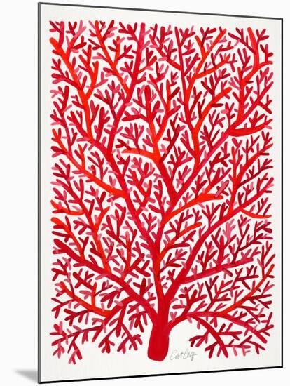 Red Fan Coral-Cat Coquillette-Mounted Giclee Print