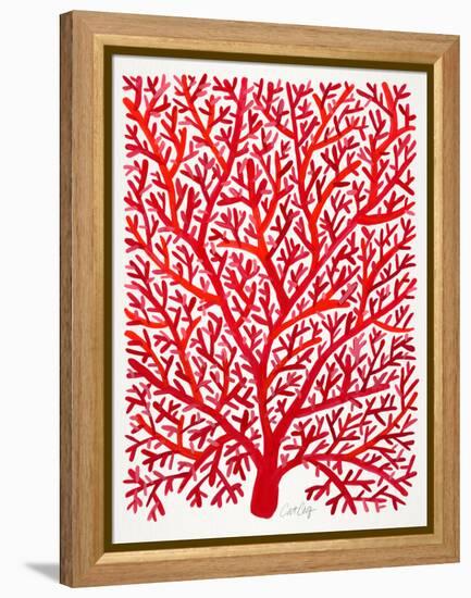 Red Fan Coral-Cat Coquillette-Framed Premier Image Canvas