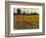 Red Field I-Tim O'toole-Framed Art Print