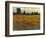 Red Field I-Tim O'toole-Framed Art Print