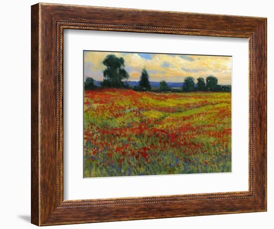 Red Field I-Tim O'toole-Framed Art Print