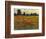 Red Field I-Tim O'toole-Framed Art Print