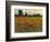 Red Field I-Tim O'toole-Framed Art Print